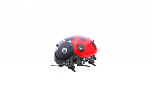 Игрушка Божья коровка Freddie-72 оптом