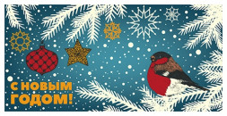 Конверт для денег новогодний №13