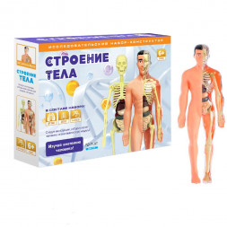 Исследовательский набор-конструктор Строение тела