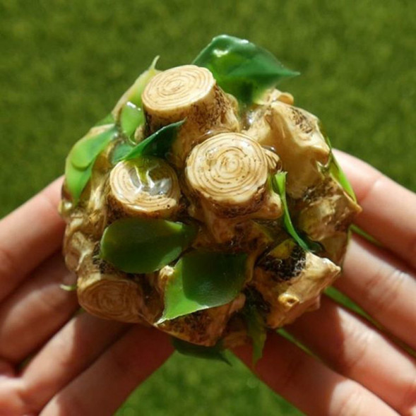 Слайм пеньки