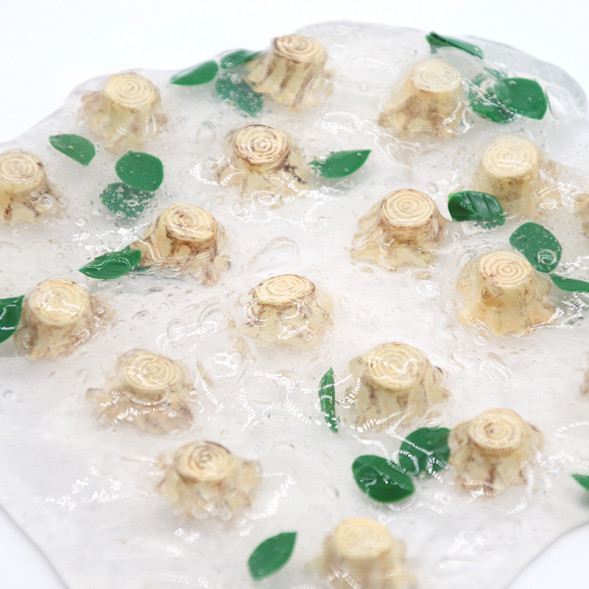 Слайм пеньки