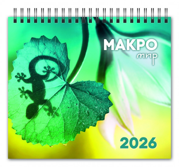 Календарь-домик (евро) «Красота рядом. Макромир. Маркет» на 2026 год оптом