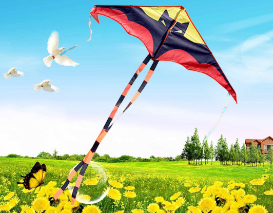 Воздушный змей летучая мышь-бэтмен 