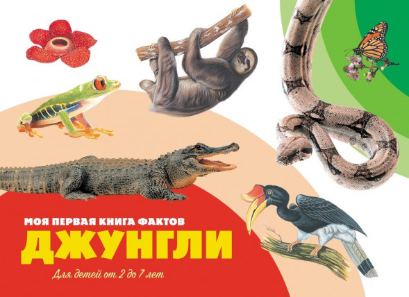 Моя первая книга фактов. Джунгли. Развивающая книга оптом