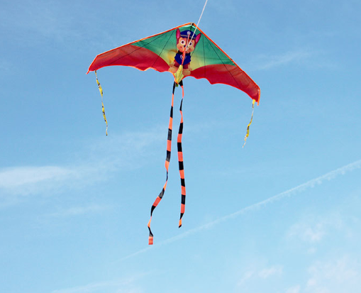 Воздушный змей с героем мультфильма щенячий патруль 