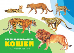 Моя первая книга фактов. Кошки. Развивающая книга