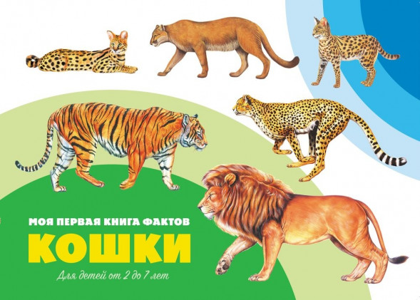 Моя первая книга фактов. Кошки. Развивающая книга оптом