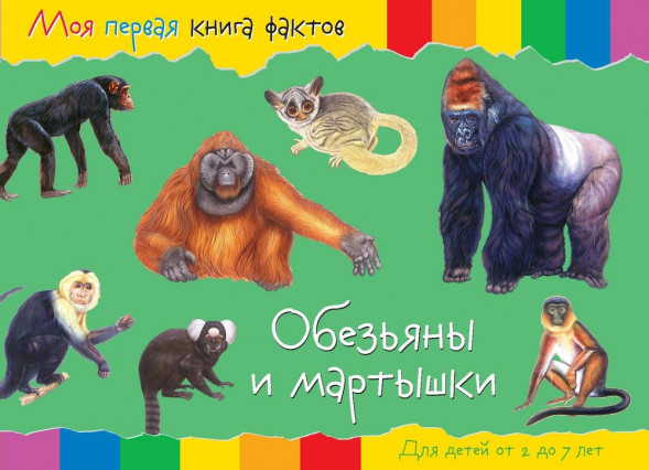 Моя первая книга фактов. Обезьяны оптом