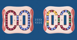 Головоломка &quot;Фасоль&quot;