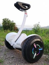 Гироскутер&quot;EW9 BLACK/WHITE&quot;