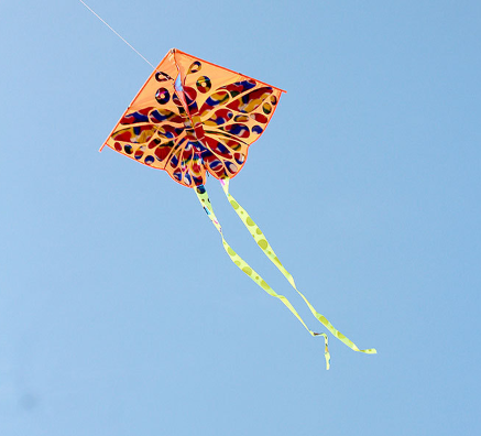 Воздушный змей бабочка