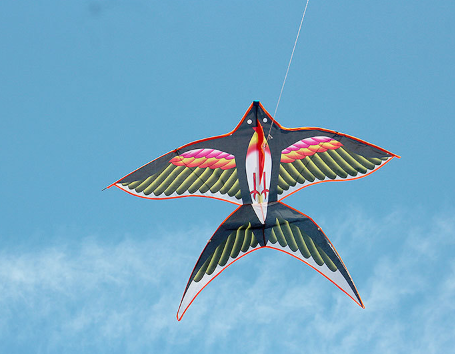 Воздушный змей ласточка