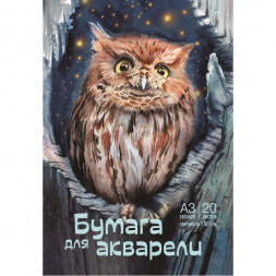 Бумага для акварели в папке «Сова»
