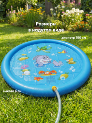 Игрушка Водный коврик