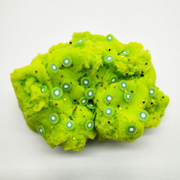 Слайм с фруктами