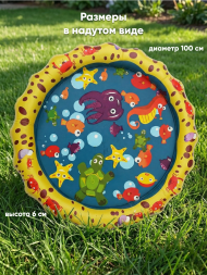 Игрушка Водный коврик