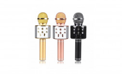 Караоке Микрофон Wster WS-858-100