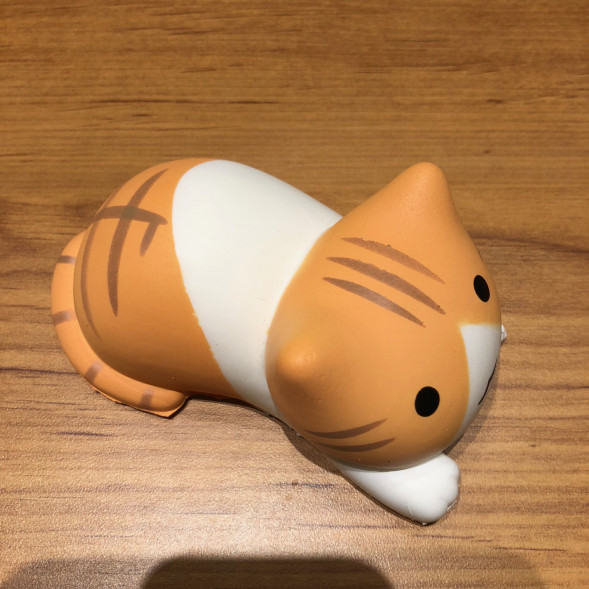 Сквиш смешные котята