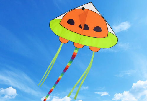 Воздушный змей нло 145x250